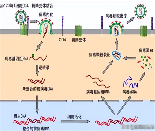 联想截图_20241207095343.png